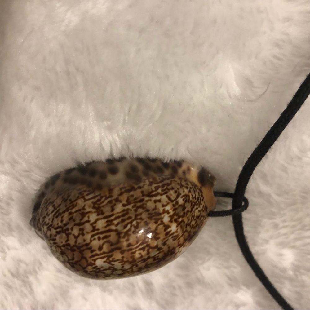 Caribbean Shell necklace - Picture 4 of 7